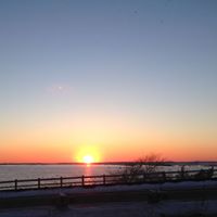 Arlene Peterson Photo 33