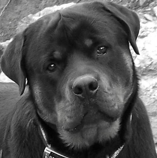 Kathy Youngblood Photo 11