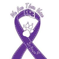 Nancy Palmer Photo 21