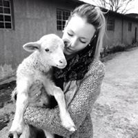 Candice Simpson Photo 8