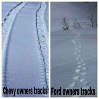 Frank Wiseman Photo 11