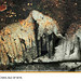 Nicholas Whited Photo 14
