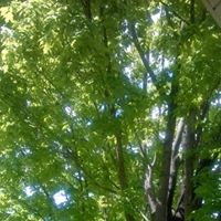 Vicky Phelps Photo 10