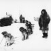 Allan Cooley Photo 5