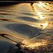 Marianne Wills Photo 6