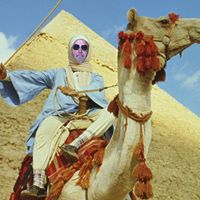 Jerry Stein Photo 11