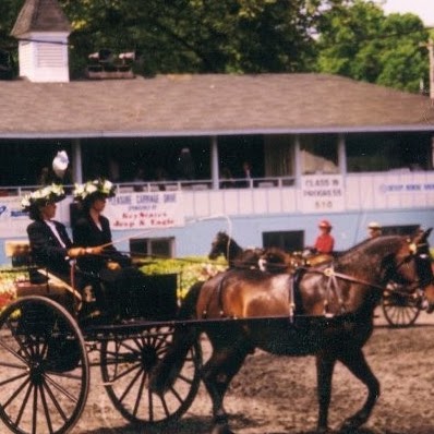 Janet Finn Photo 9 Janet Finn Photo 9