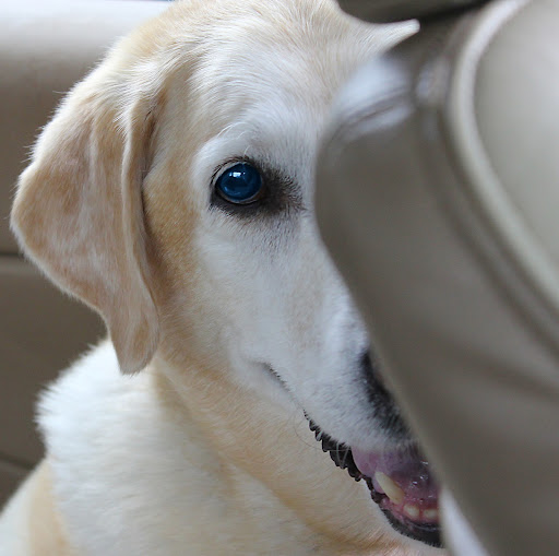 Darla Atkinson Photo 2