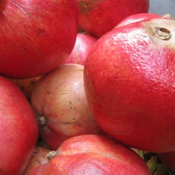 Nancy Baldwin Photo 10