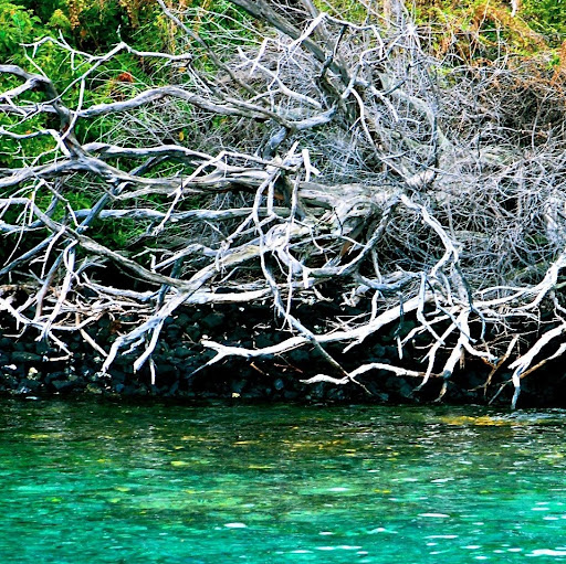 Daniel Mullin Photo 14