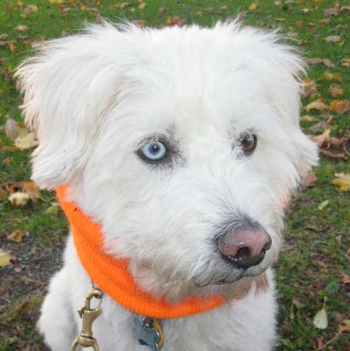 Martha Silver Photo 8