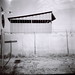 Diana Chandler Photo 31