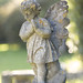 Patricia Graves Photo 17