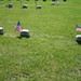Michael Reece Photo 23