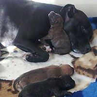 Stacey Rodgers Photo 18