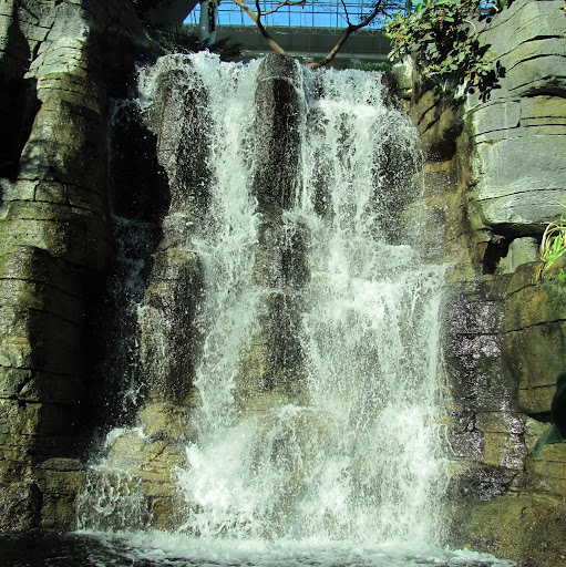 Allen Hopper Photo 17