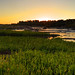 James Panos Photo 19
