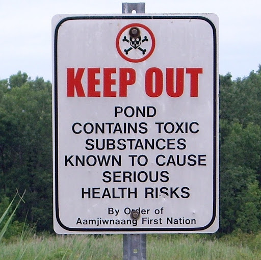 Dale Mccutcheon Photo 4