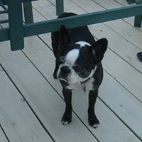 Rosetta Taylor Photo 17