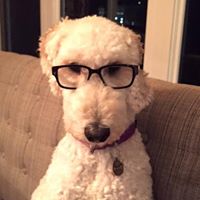 Jenny Barker Photo 27