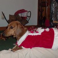 Grace Fleming Photo 9