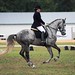 Elaine Taylor Photo 19