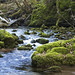 Janet Waters Photo 42