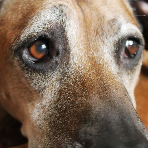 Kristin Randall Photo 8