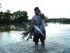 Ron Wheeler Photo 21