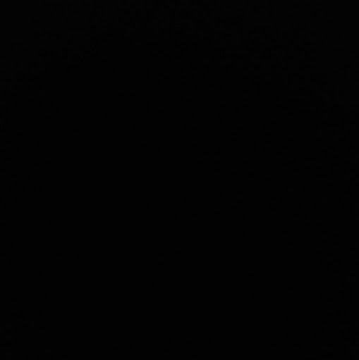 Clemente Rodriguez Photo 13