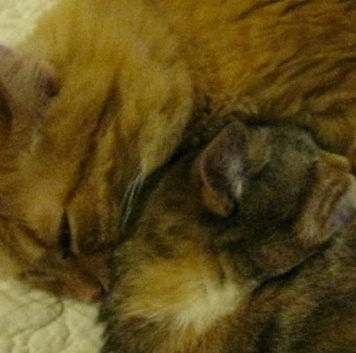 Marilyn Reitz Photo 4