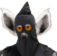 Ronnie Chase Photo 7