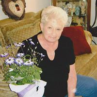 Diana Sipes Photo 5