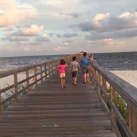 Sue Lewis Photo 17 Sue Lewis Photo 17