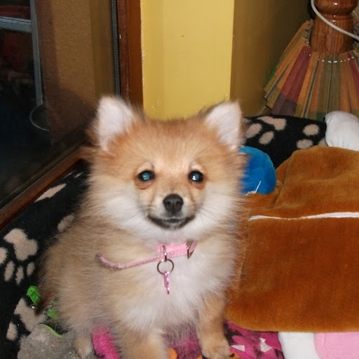 Helen Vaughan Photo 28