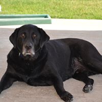 Chester Rowe Photo 5