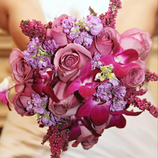 Jeanette Castro Photo 11