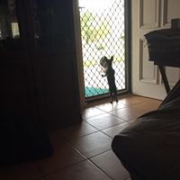 Robyn Mills Photo 21