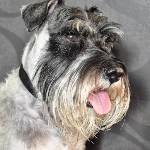 Robin Christensen Photo 25