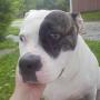 Kathy Seaton Photo 28
