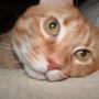Nancy Hutson Photo 23