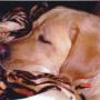 Kathleen Decker Photo 11