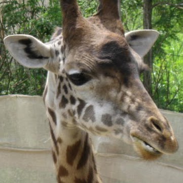 Margaret Rose Photo 16