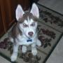 Joann Meyer Photo 19