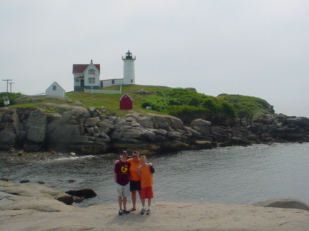 Julie Bradford Photo 40