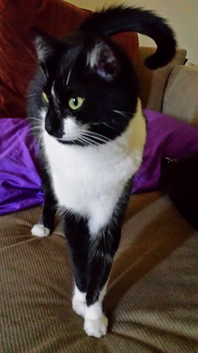 Stephanie Franco Photo 11