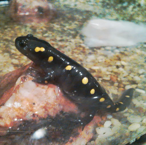 Brett Fiedler Photo 5