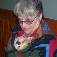 Ann Mccabe Photo 17