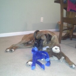 Casey Skinner Photo 21