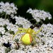 Anne Hinds Photo 23